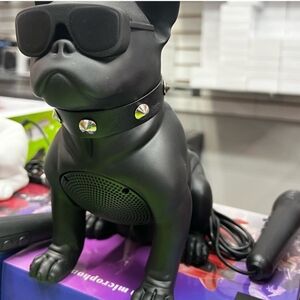 Wireless Speaker with Microphone NIB